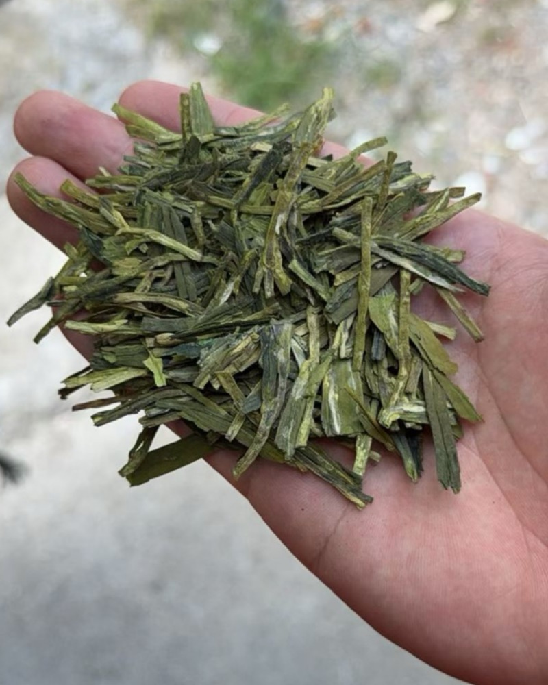 龙井新茶