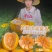 民勤沙漠蜜瓜