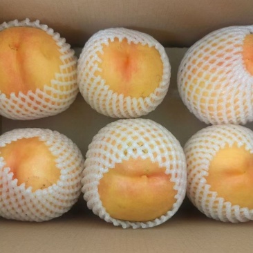 红黄油桃3两起