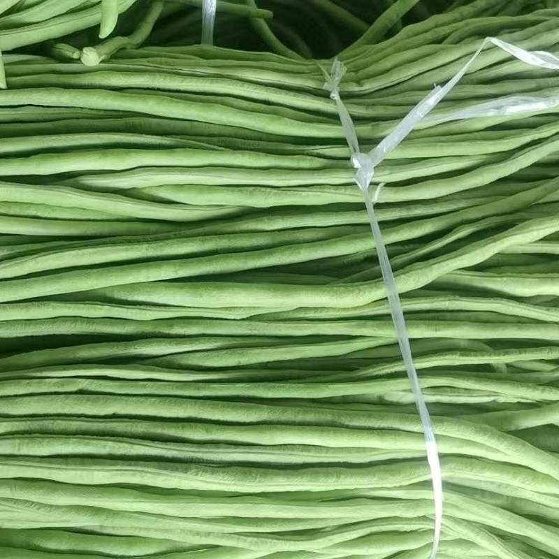 精品豆角大量上市。