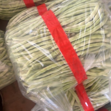 精品白优衣40一包二十斤
