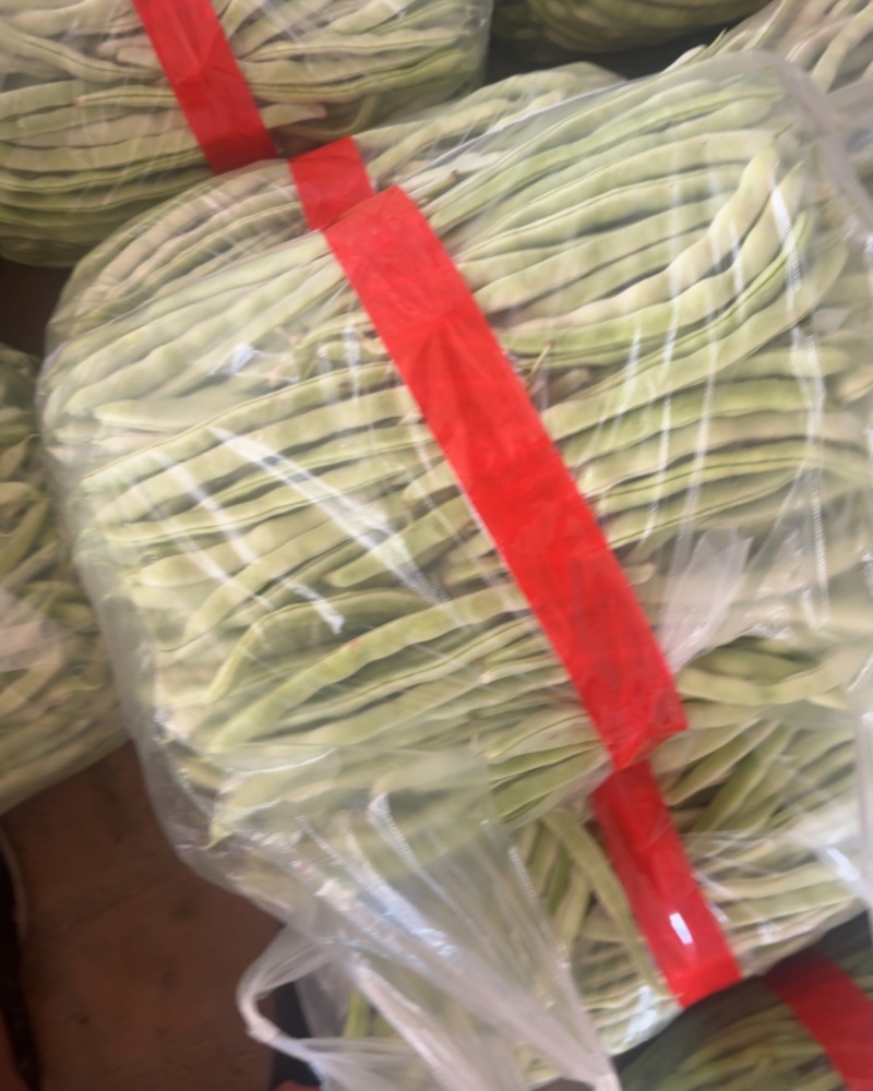 精品白优衣40一包二十斤