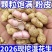 产地直发新鲜花生批发一件代发都支持