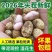 产地直发新鲜花生批发一件代发都支持