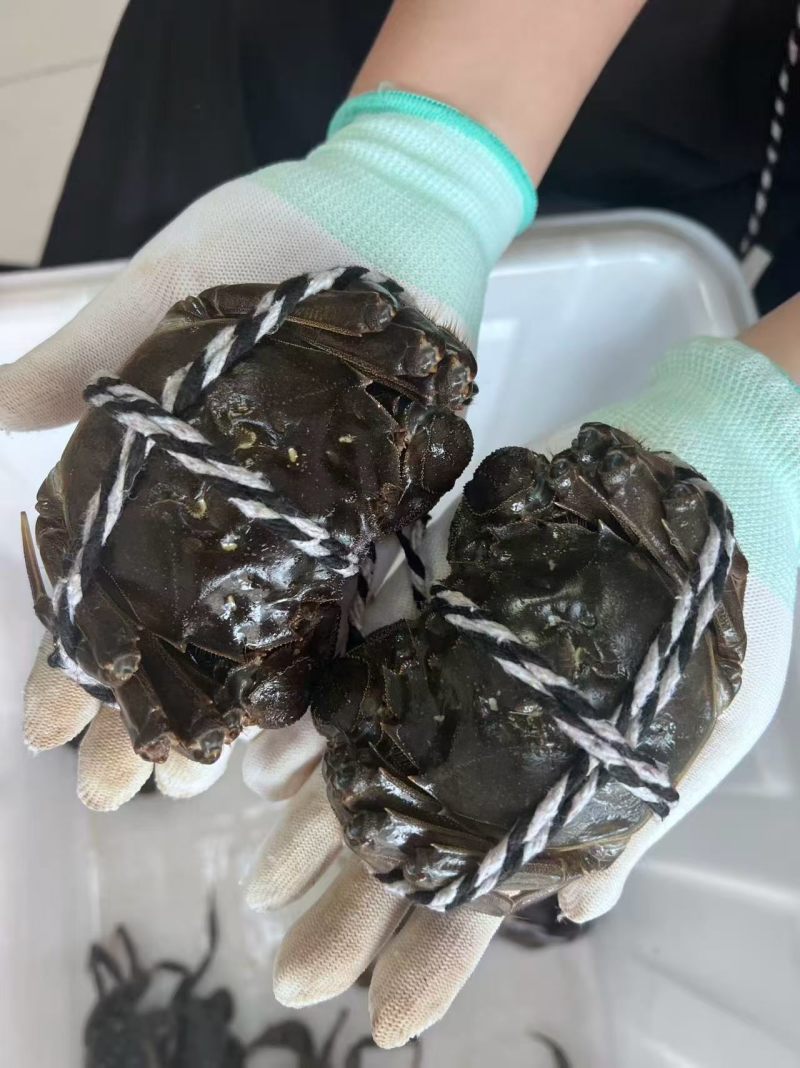 鱼米之乡手工面点批发
