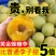 贵州大山里的蜂糖李，出口十八个国家，夏日水果界的拉法利