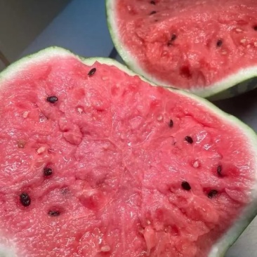 美都西瓜超好欢迎大家到地批发6毛糖度13.5露天，6-13斤