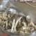 鸡枞菌
