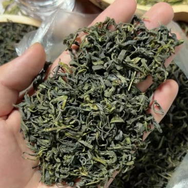 香茶