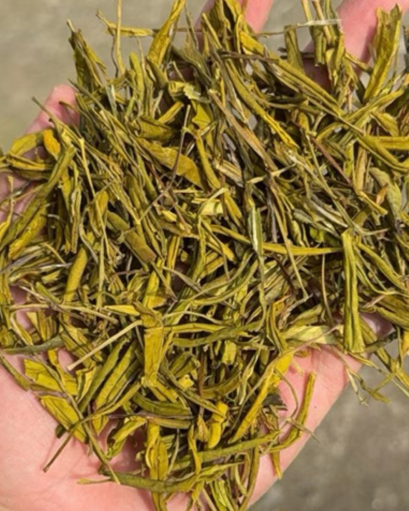 黄金芽