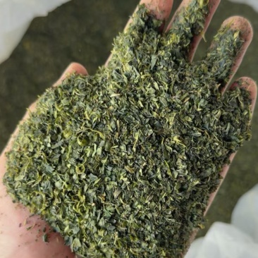 茶末
