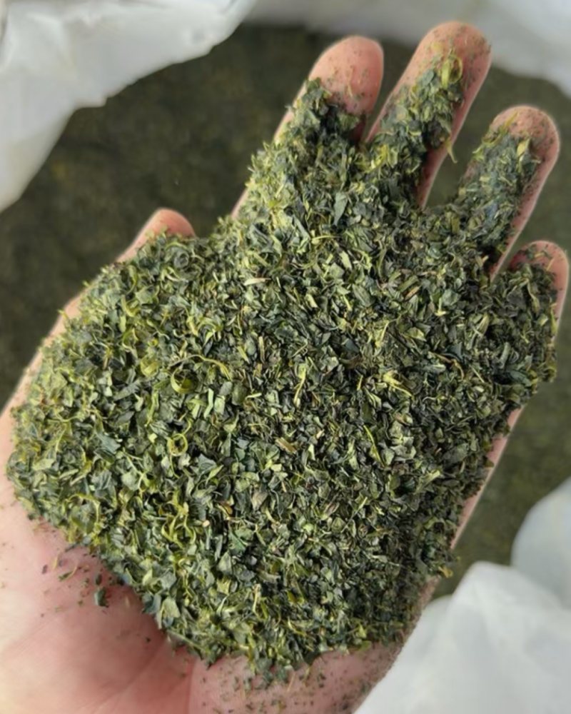 茶末