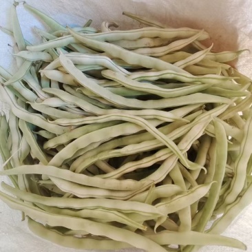 豆角