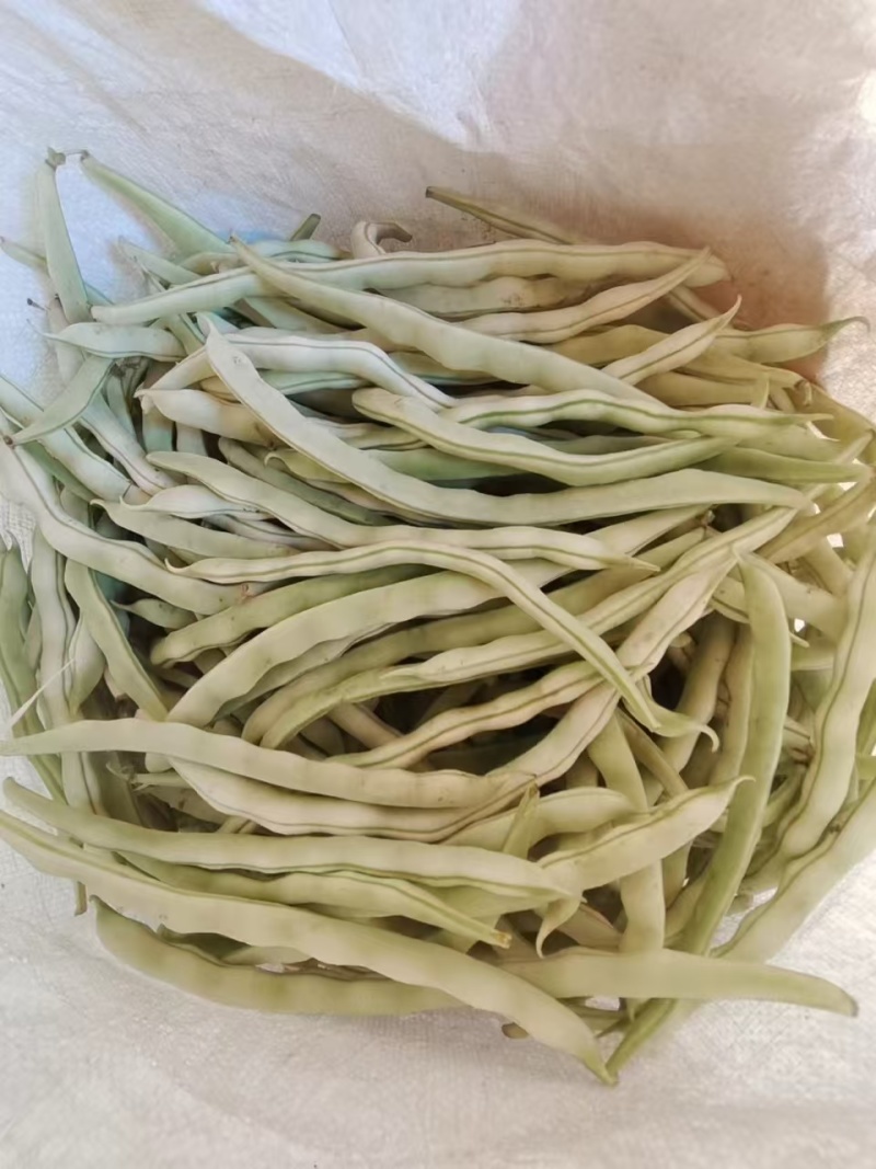 豆角
