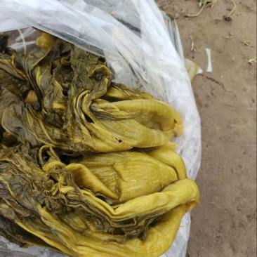 云南小叶芥菜半成品，通货，量大价优。湖南常德发货。