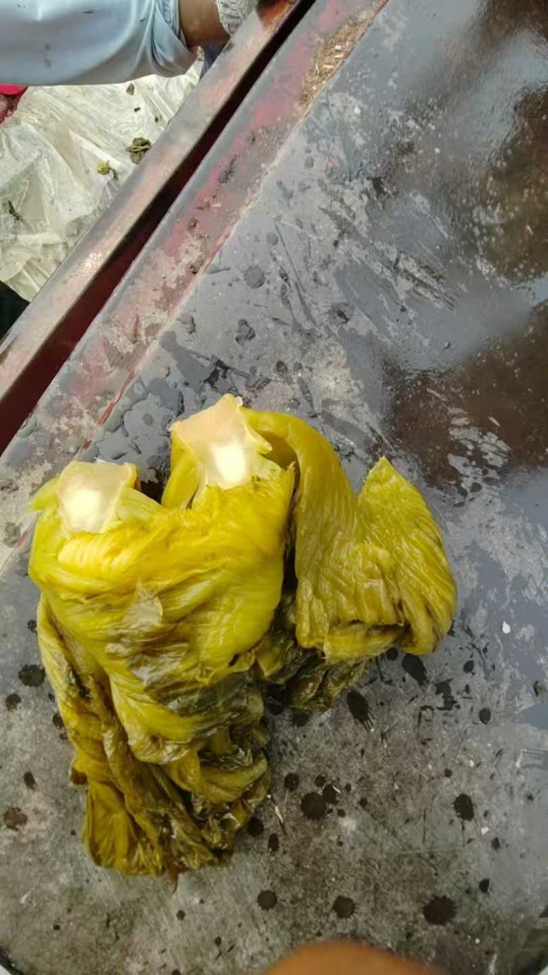 云南小叶芥菜半成品，通货，量大价优。湖南常德发货。