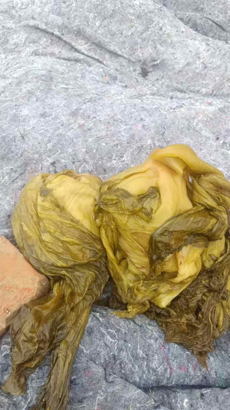 云南小叶芥菜半成品，通货，量大价优。湖南常德发货。