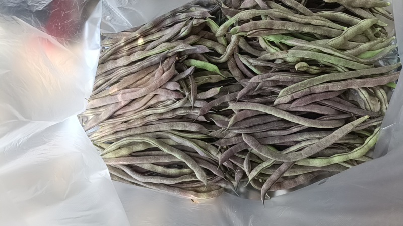 四季豆，无筋豆，大量有货，有需要的老板来电咨询！