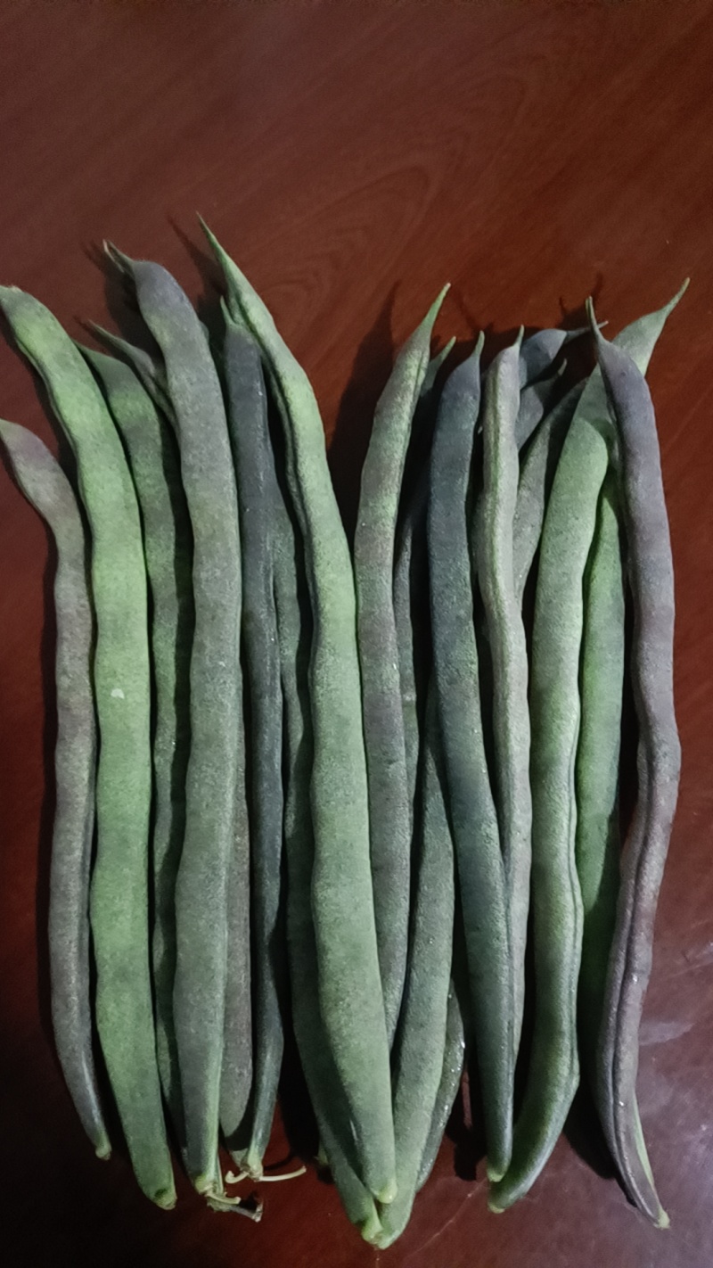 四季豆，无筋豆，大量有货，有需要的老板来电咨询！