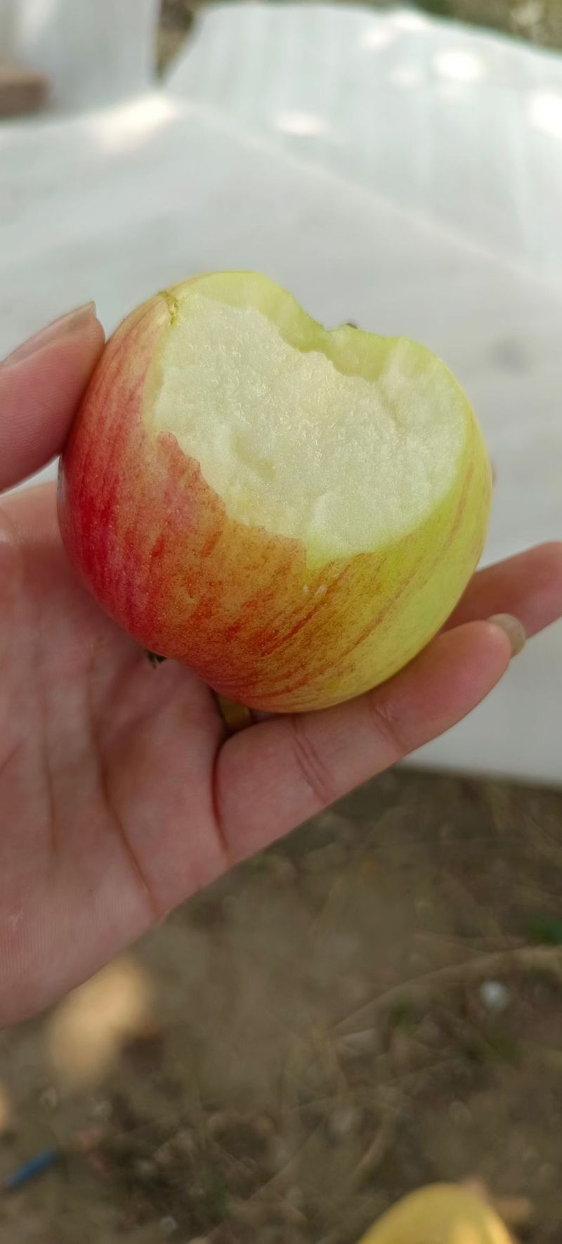零卖或者收购都可以。电话洽谈