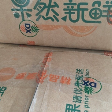 精选精品中果香水菠萝新鲜现采果园直发孕妇可吃香甜水