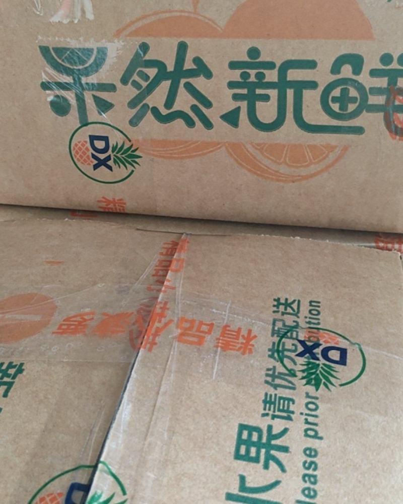 精选精品中果香水菠萝新鲜现采果园直发孕妇可吃香甜水