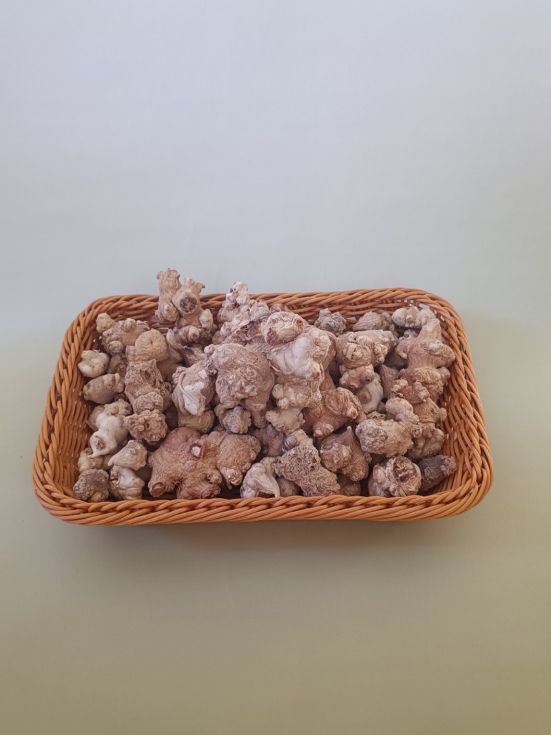 精品朱子参出售