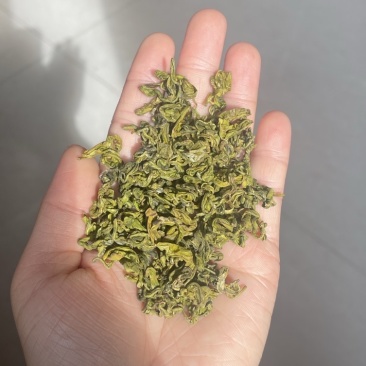 手工黄金芽