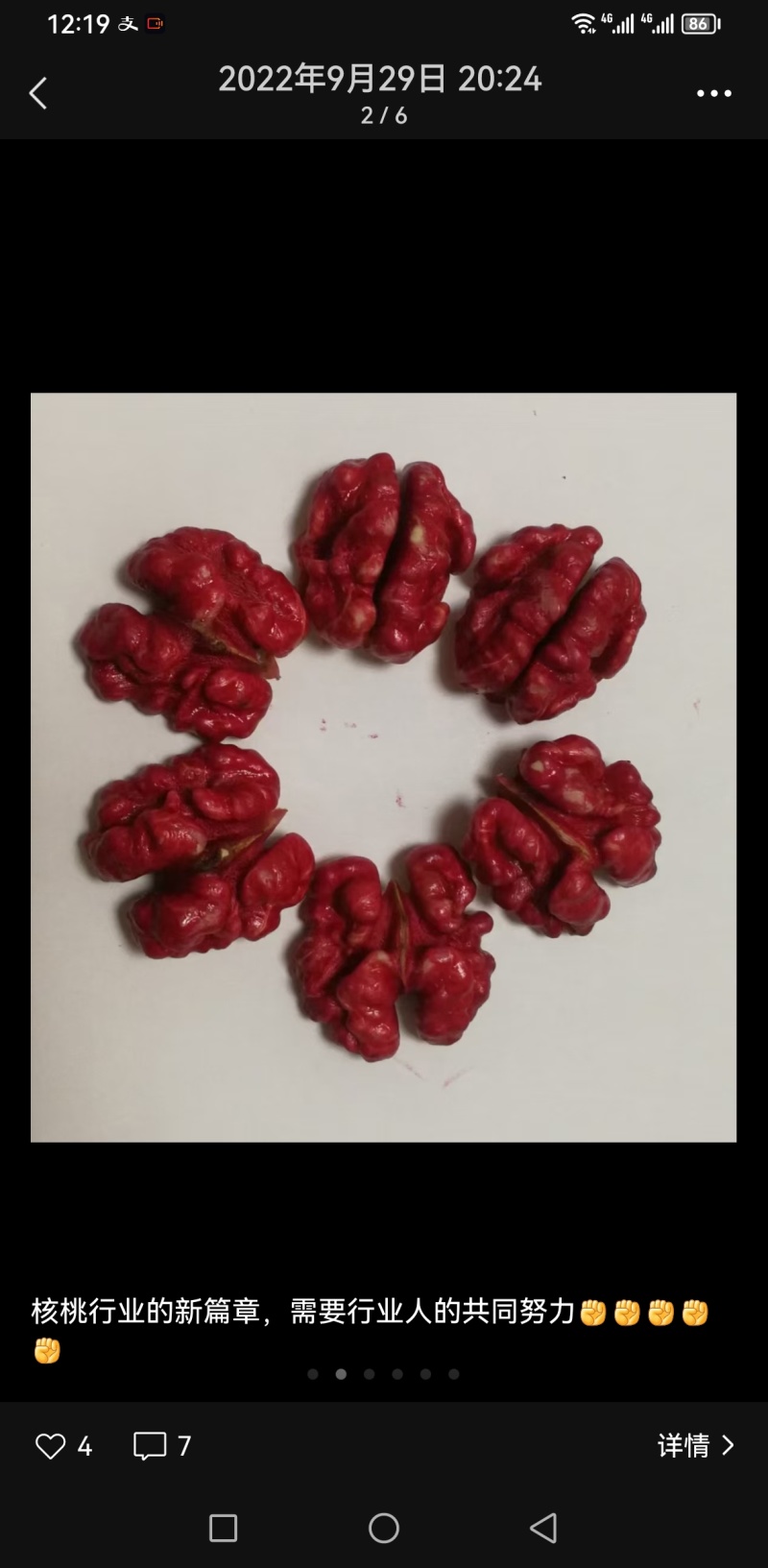 出售红衣核桃鲜果，干果