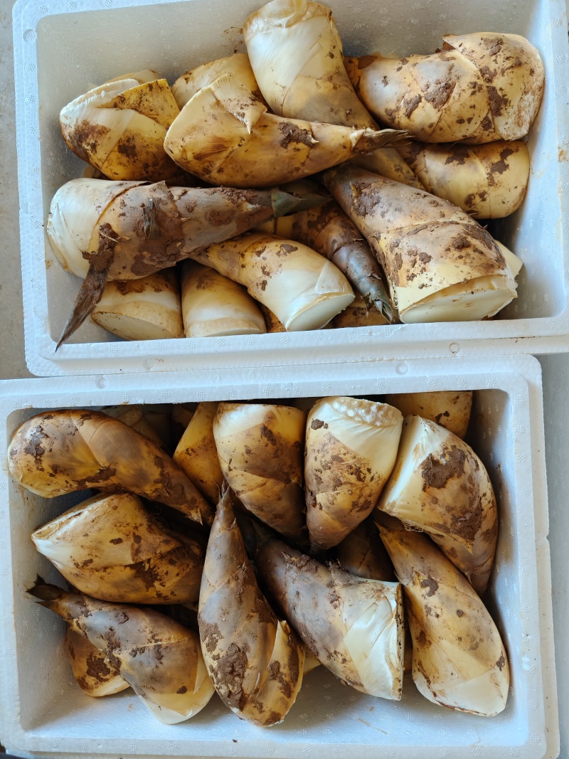 A货B货C货
