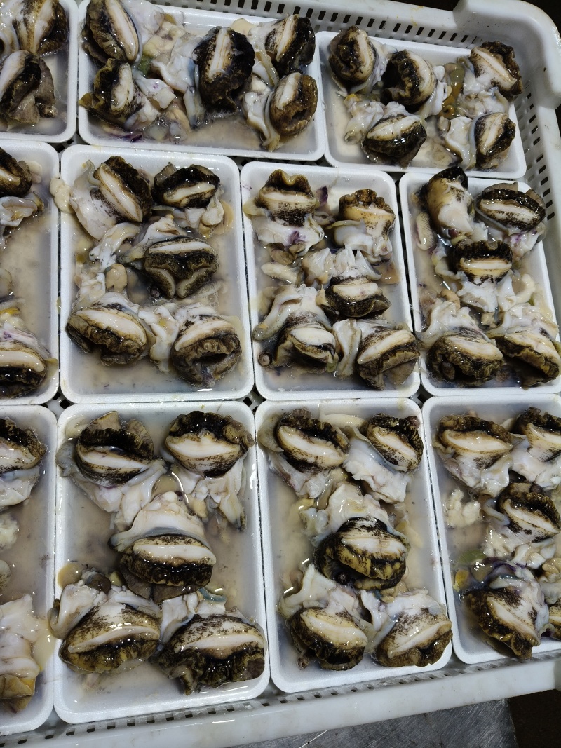 纯大个海螺肉，***原汁原味***海螺头，一件20袋
