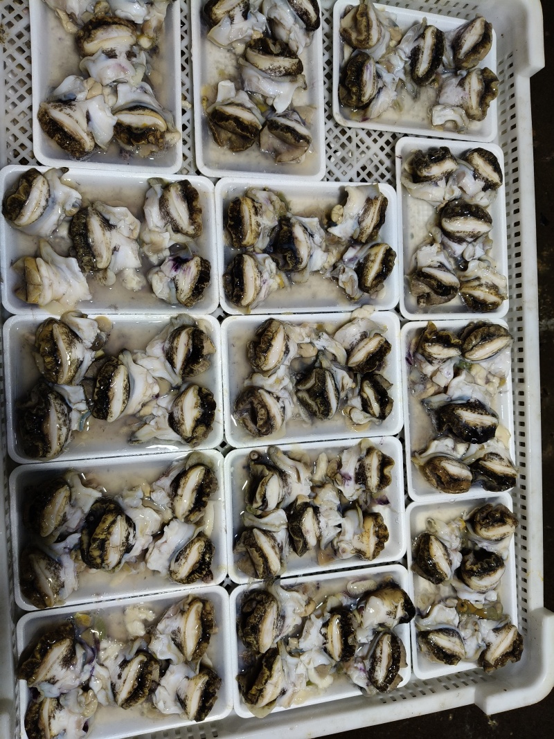 纯大个海螺肉，***原汁原味***海螺头，一件20袋