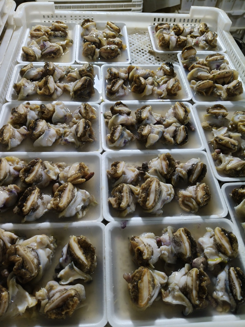 纯大个海螺肉，***原汁原味***海螺头，一件20袋