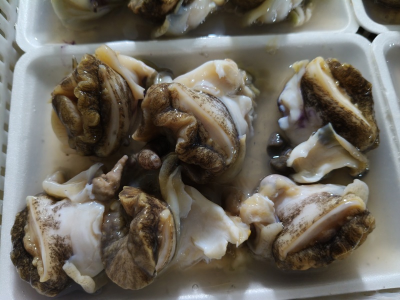 纯大个海螺肉，***原汁原味***海螺头，一件20袋