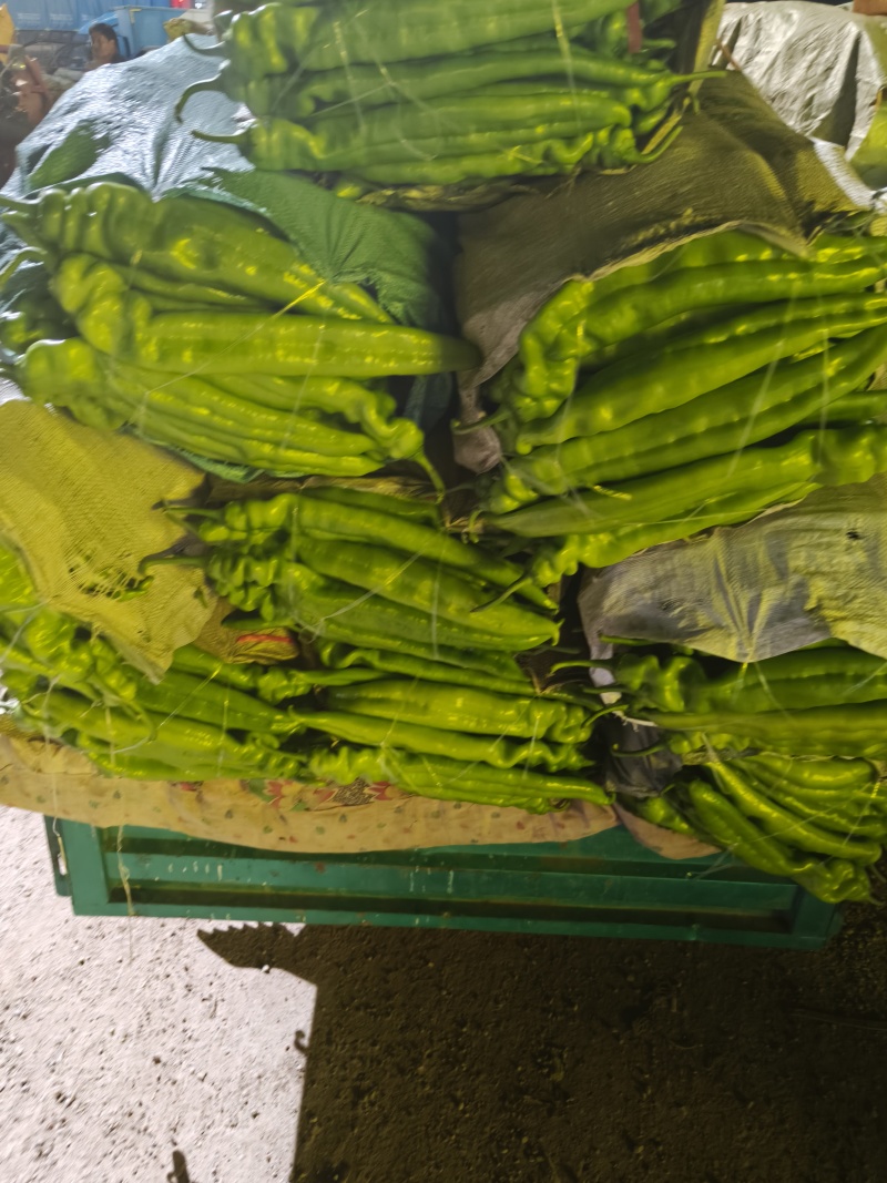 精品辣椒