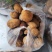 各种野生菌大量上市