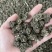 猫爪草各种规格都有都是现货供应老板需要联系我