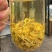 手工黄金芽
