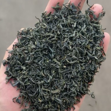 香茶