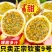 钦蜜9号百香果，一件也发，社区团购，零售批发。