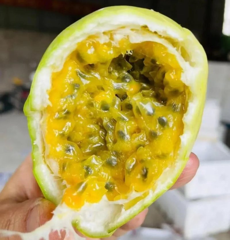 钦蜜9号百香果，一件也发，社区团购，零售批发。