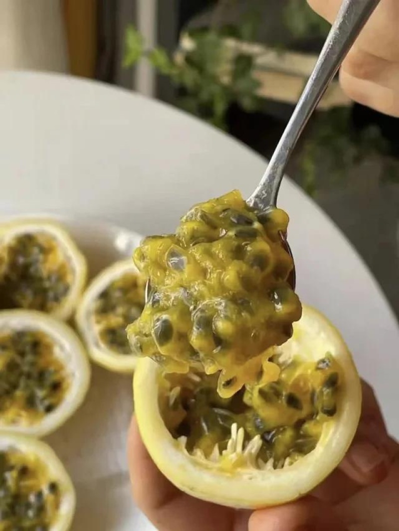 钦蜜9号百香果，一件也发，社区团购，零售批发。