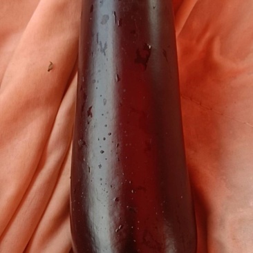 黑棒烧烤茄子