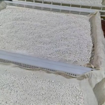 藕粉460g/罐