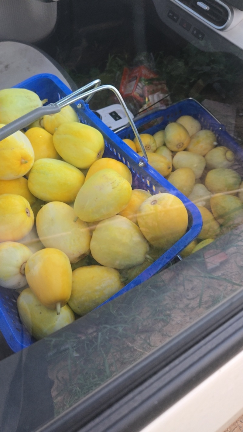 大量上市