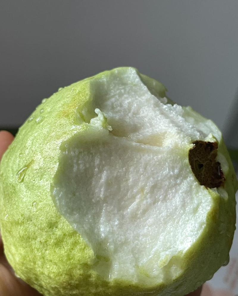一件代发湛江白心芭乐硬脆清甜.