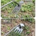 除草专用工具锄草耙子松土拔草神器铲子多功能起除草器连根挖野菜