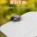 锰钢锄头家用种菜除草神器老式农用工具大全农具锄草专用挖地铲草