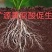 矿源黄腐酸钾厂家直销，***********