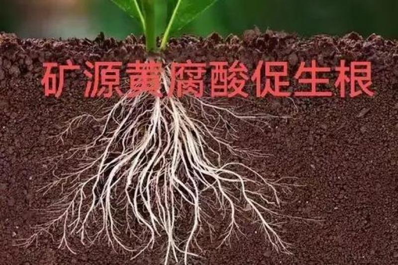 矿源黄腐酸钾厂家直销，***********